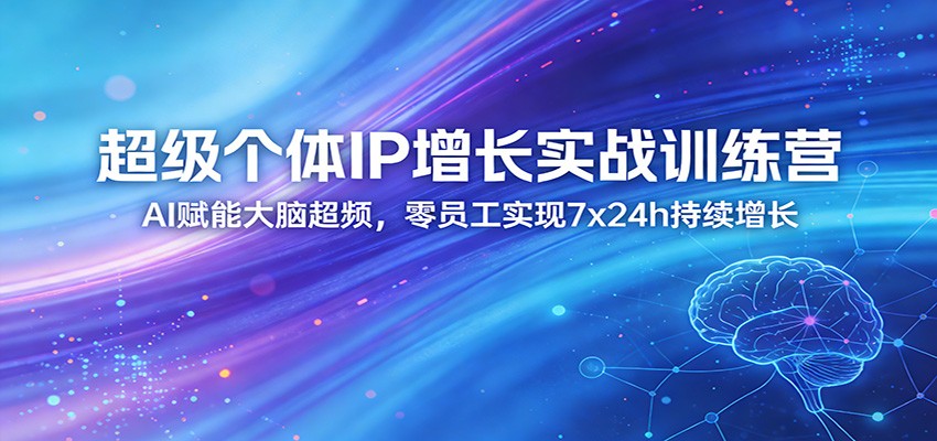 超级个体IP增长实战训练营：AI赋能大脑超频，零员工实现7x24h持续增长（更新）-选优云网创