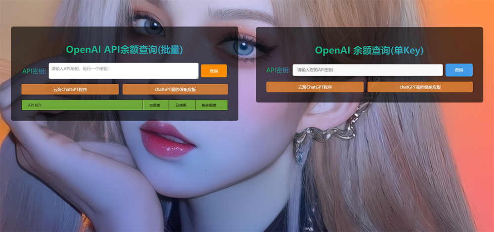 ChatGPT在线查询余额小工具源码-选优云网创